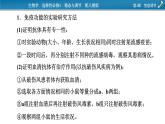 2021-2022学年高中生物新人教版选择性必修1  第4章　免疫调节 微专题6 免疫功能的实验探究 课件（15张）
