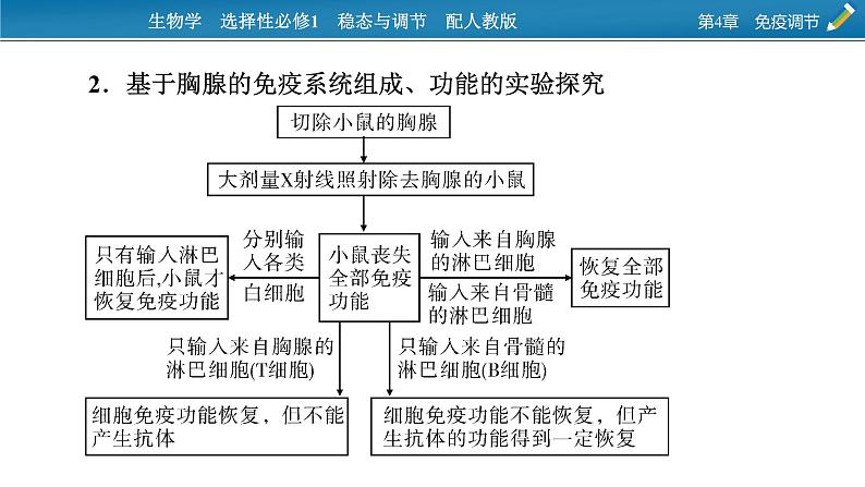 2021-2022学年高中生物新人教版选择性必修1  第4章　免疫调节 微专题6 免疫功能的实验探究 课件（15张）第4页