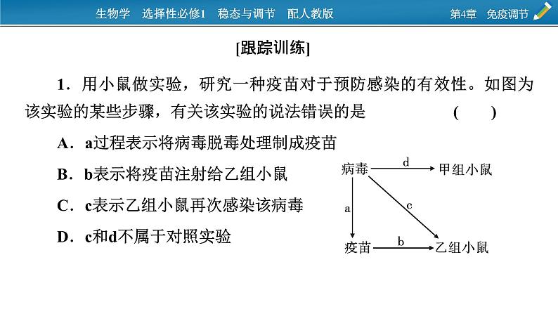 2021-2022学年高中生物新人教版选择性必修1  第4章　免疫调节 微专题6 免疫功能的实验探究 课件（15张）第5页