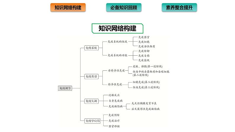 2021-2022学年高中生物新人教版选择性必修1  第4章 免疫调节 章末总结 课件（32张）02