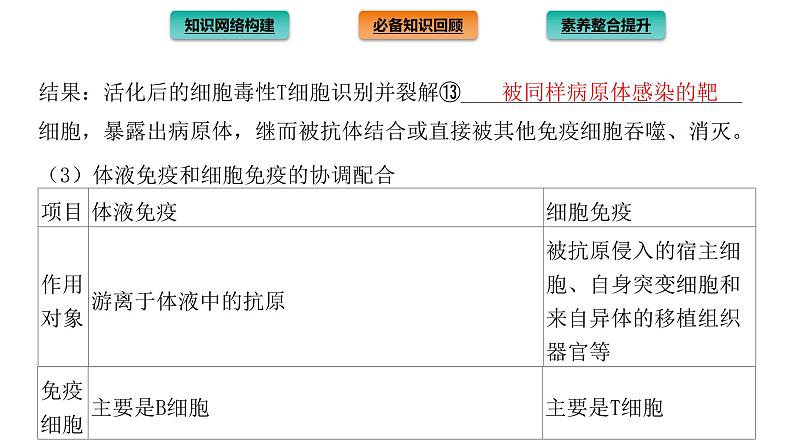 2021-2022学年高中生物新人教版选择性必修1  第4章 免疫调节 章末总结 课件（32张）08