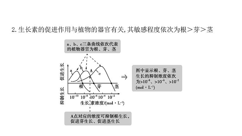 2021-2022学年高中生物新人教版选择性必修1  第5章 微专题3 生长素生理作用的相关曲线分析及植物激素相关实验 课件（41张）第5页