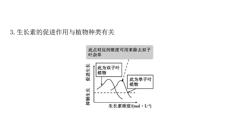 2021-2022学年高中生物新人教版选择性必修1  第5章 微专题3 生长素生理作用的相关曲线分析及植物激素相关实验 课件（41张）第6页