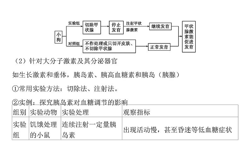 2021-2022学年高中生物新人教版选择性必修1  第3章 微专题2 探究动物激素功能的实验方法 课件（24张）第5页