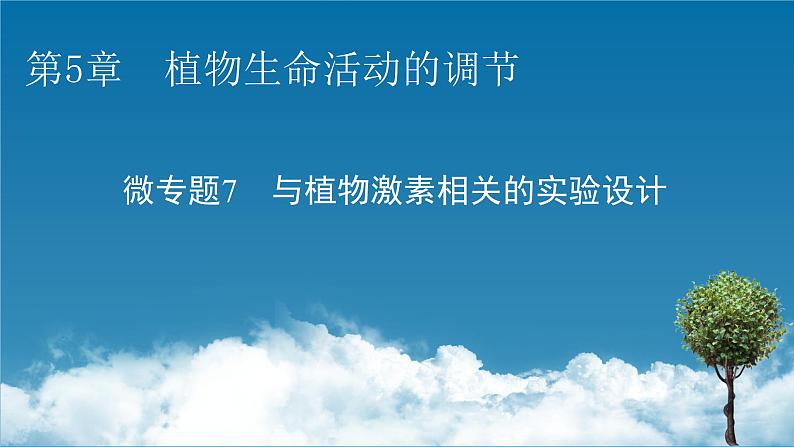 2021-2022学年高中生物新人教版选择性必修1  第5章　植物生命活动的调节 微专题7 与植物激素相关的实验设计 课件（18张）第1页