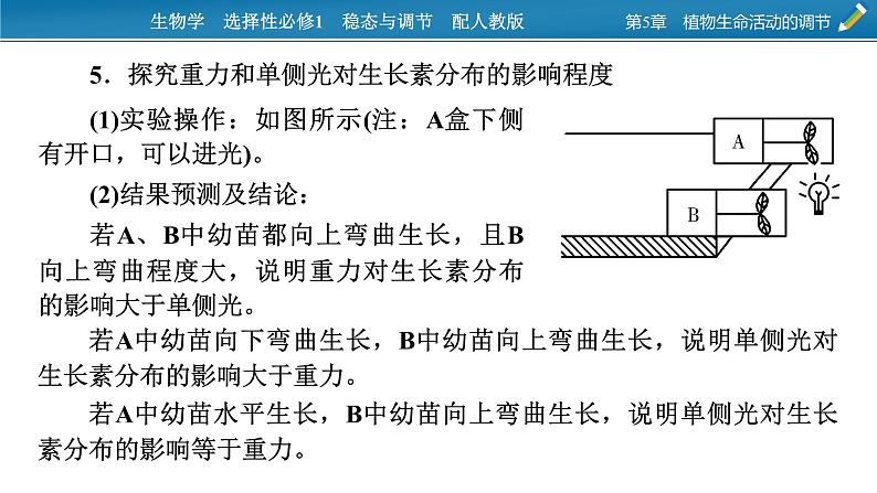 2021-2022学年高中生物新人教版选择性必修1  第5章　植物生命活动的调节 微专题7 与植物激素相关的实验设计 课件（18张）第6页