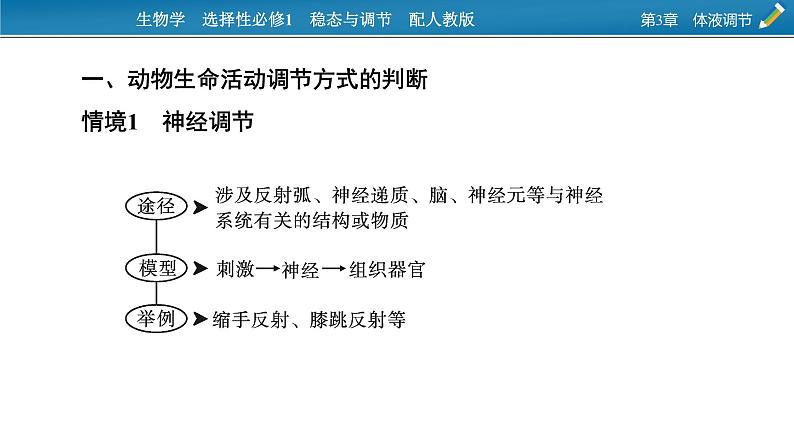 2021-2022学年高中生物新人教版选择性必修1  第3章　体液调节 微专题5 动物生命活动调节模型 课件（16张）第2页