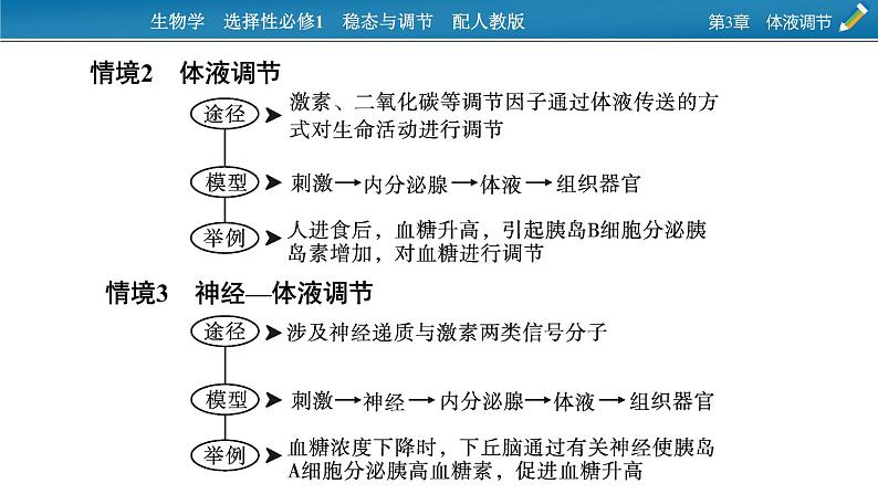 2021-2022学年高中生物新人教版选择性必修1  第3章　体液调节 微专题5 动物生命活动调节模型 课件（16张）第3页