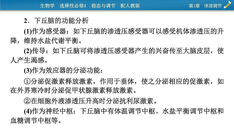 2021-2022学年高中生物新人教版选择性必修1  第3章　体液调节 微专题5 动物生命活动调节模型 课件（16张）第5页