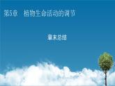 2021-2022学年高中生物新人教版选择性必修1  第5章 植物生命活动的调节 章末总结 课件（31张）