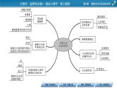 2021-2022学年高中生物新人教版选择性必修1  第5章 植物生命活动的调节 章末总结 课件（31张）