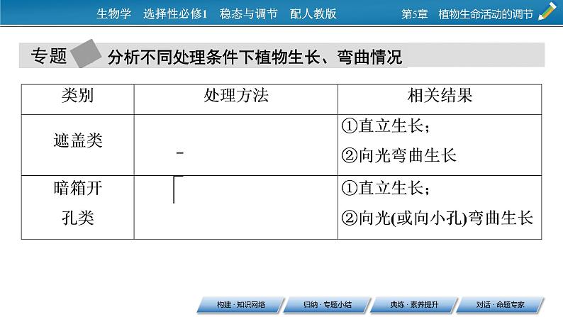 2021-2022学年高中生物新人教版选择性必修1  第5章 植物生命活动的调节 章末总结 课件（31张）05