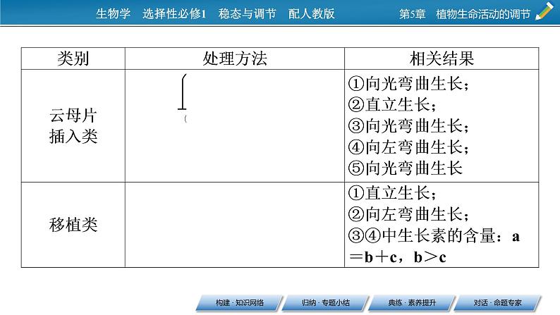 2021-2022学年高中生物新人教版选择性必修1  第5章 植物生命活动的调节 章末总结 课件（31张）06