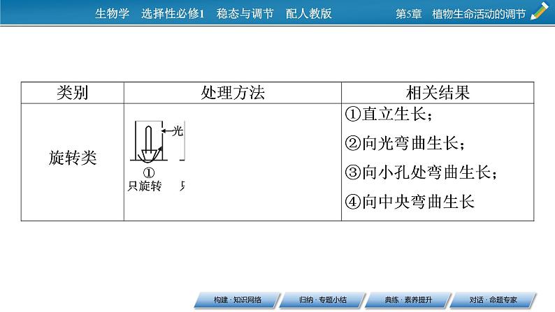 2021-2022学年高中生物新人教版选择性必修1  第5章 植物生命活动的调节 章末总结 课件（31张）07