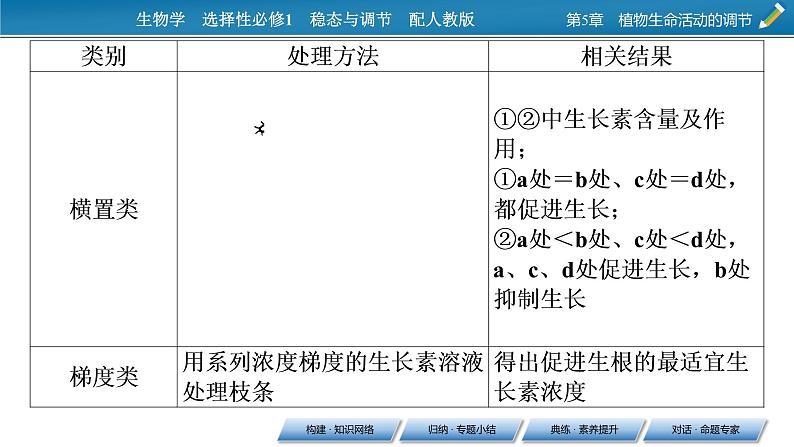 2021-2022学年高中生物新人教版选择性必修1  第5章 植物生命活动的调节 章末总结 课件（31张）08