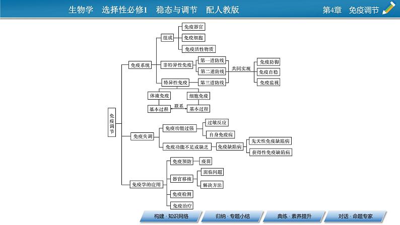 2021-2022学年高中生物新人教版选择性必修1  第4章 免疫调节 章末总结 课件（36张）第3页