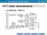 2021-2022学年高中生物新人教版选择性必修1  第4章 免疫调节 章末总结 课件（36张）