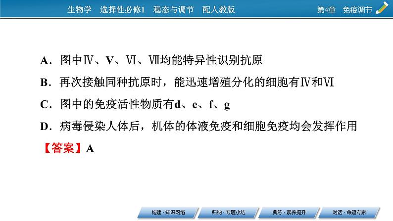 2021-2022学年高中生物新人教版选择性必修1  第4章 免疫调节 章末总结 课件（36张）第8页