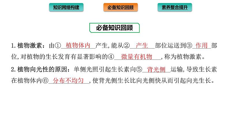 2021-2022学年高中生物新人教版选择性必修1  第5章 植物生命活动的调节 章末总结 课件（36张）第3页