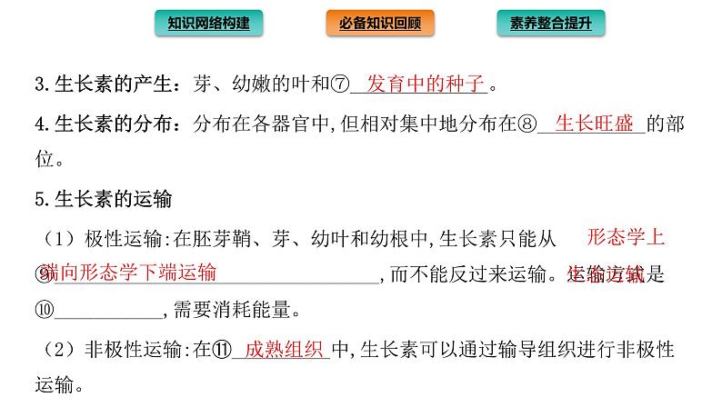 2021-2022学年高中生物新人教版选择性必修1  第5章 植物生命活动的调节 章末总结 课件（36张）第4页