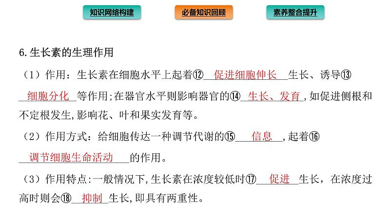 2021-2022学年高中生物新人教版选择性必修1  第5章 植物生命活动的调节 章末总结 课件（36张）第5页