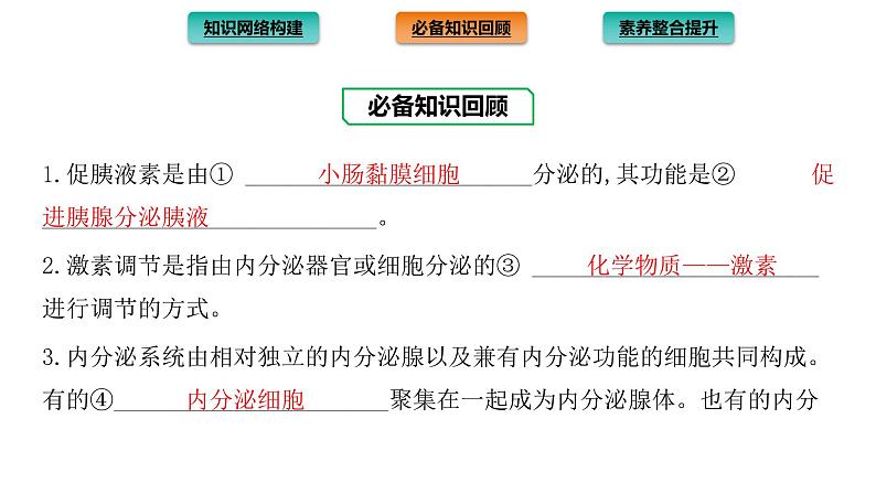 2021-2022学年高中生物新人教版选择性必修1  第3章 体液调节 章末总结 课件（35张）第3页