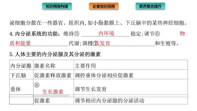 2021-2022学年高中生物新人教版选择性必修1  第3章 体液调节 章末总结 课件（35张）第4页