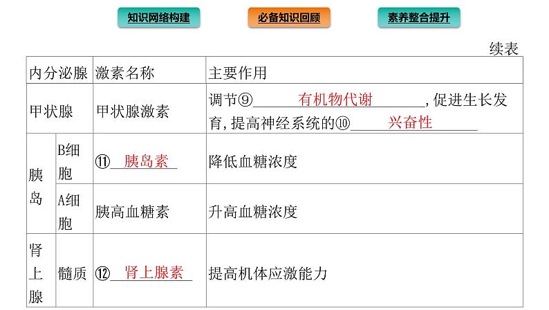 2021-2022学年高中生物新人教版选择性必修1  第3章 体液调节 章末总结 课件（35张）第5页