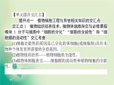 2021-2022學年高中生物新人教版選擇性必修3 第2章 動物細胞工程 單元素能提升 課件（49張）
