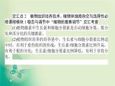 2021-2022學年高中生物新人教版選擇性必修3 第2章 動物細胞工程 單元素能提升 課件（49張）