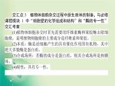 2021-2022學年高中生物新人教版選擇性必修3 第2章 動物細胞工程 單元素能提升 課件（49張）