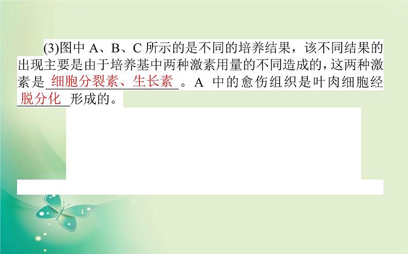 2021-2022学年高中生物新人教版选择性必修3 第2章 动物细胞工程 单元素能提升 课件（49张）第8页