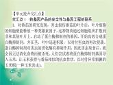 2021-2022学年高中生物新人教版选择性必修3 第4章 生物技术的安全性与伦理问题 单元素能提升 课件（22张）