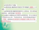 2021-2022学年高中生物新人教版选择性必修3 第4章 生物技术的安全性与伦理问题 单元素能提升 课件（22张）
