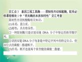 2021-2022學(xué)年高中生物新人教版選擇性必修3 第3章 基因工程 單元素能提升 課件（35張）