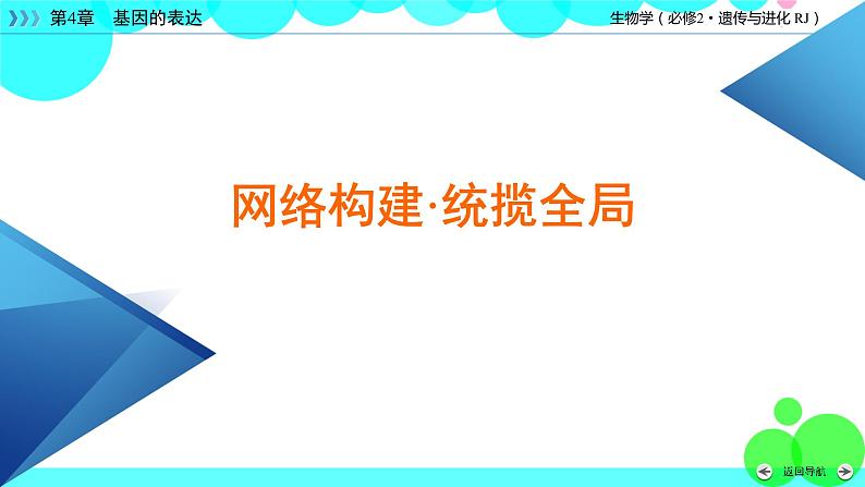 人教版 生物 必修2 本章整合4 PPT课件第4页