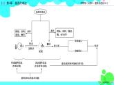 人教版 生物 必修2 本章整合4 PPT课件