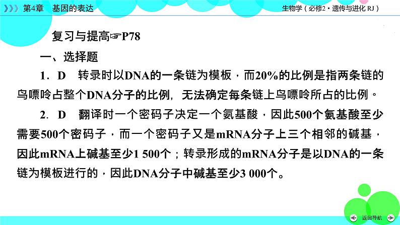 人教版 生物 必修2 本章整合4 PPT课件第7页