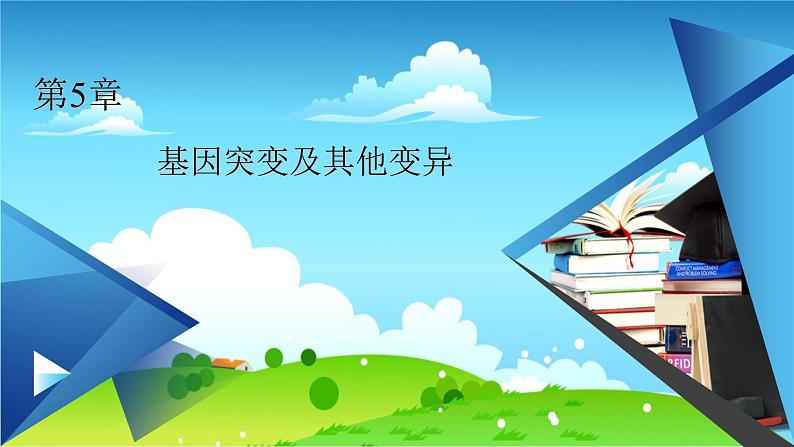 人教版 生物 必修2 本章整合5 PPT课件01