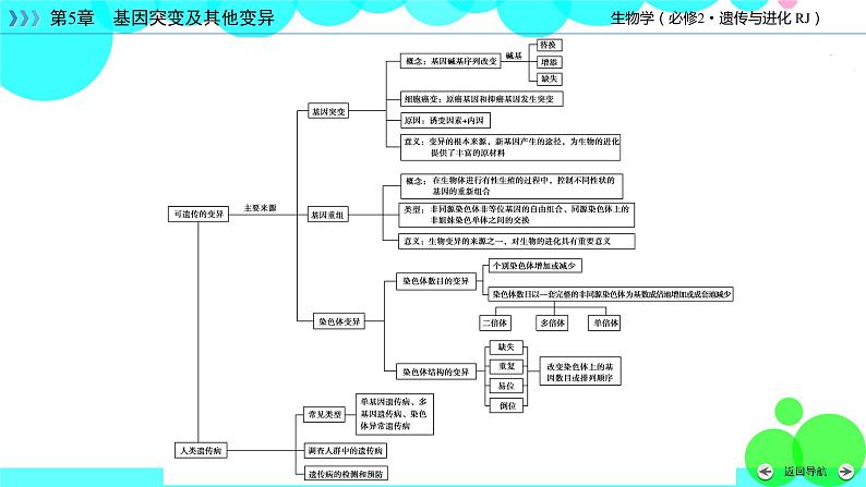 人教版 生物 必修2 本章整合5 PPT课件05
