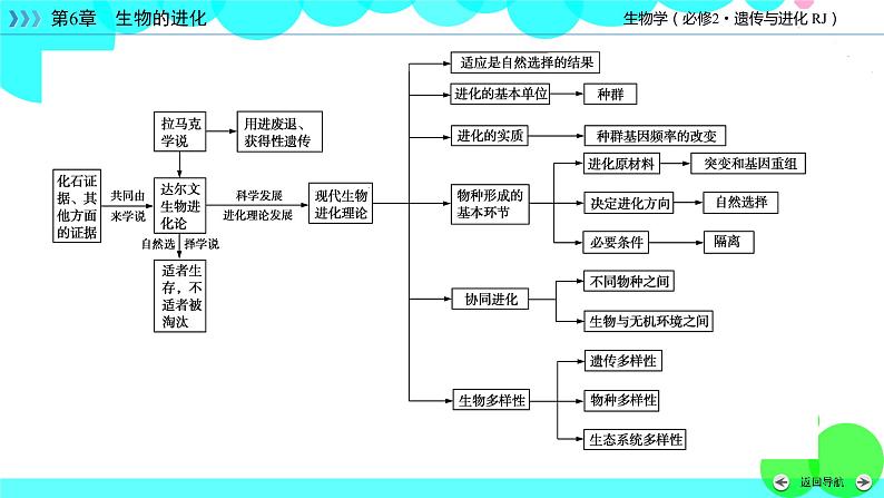 人教版 生物 必修2 本章整合6 PPT课件05