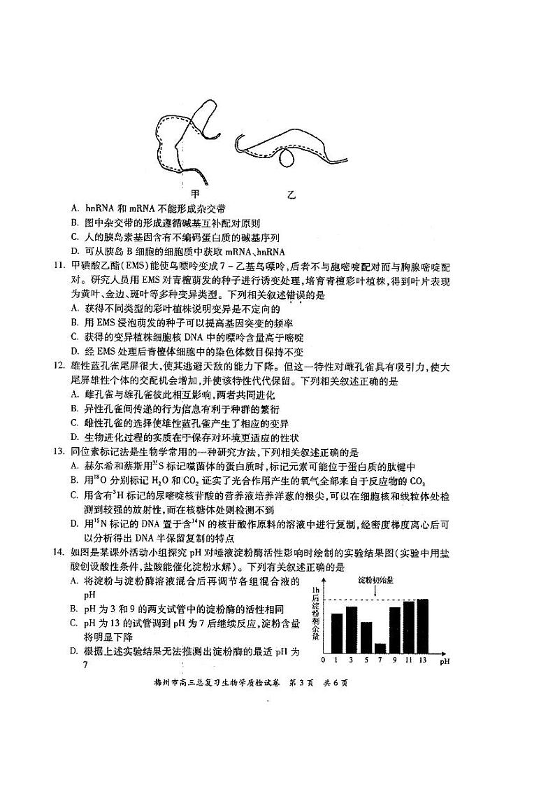 2022年广东省梅州市高三总复习质检生物试题含答案03