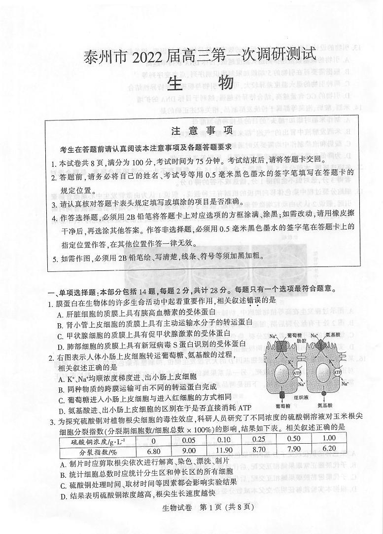 江苏省泰州市2021-2022学年高三第一次调研测试生物试卷无答案01