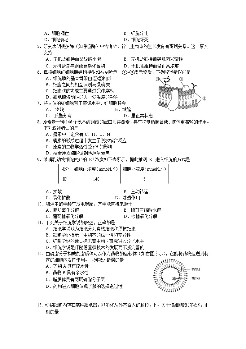 浙江省丽水市2021-2022学年高一上学期普通高中教学质量监控（期末）生物含答案 试卷02