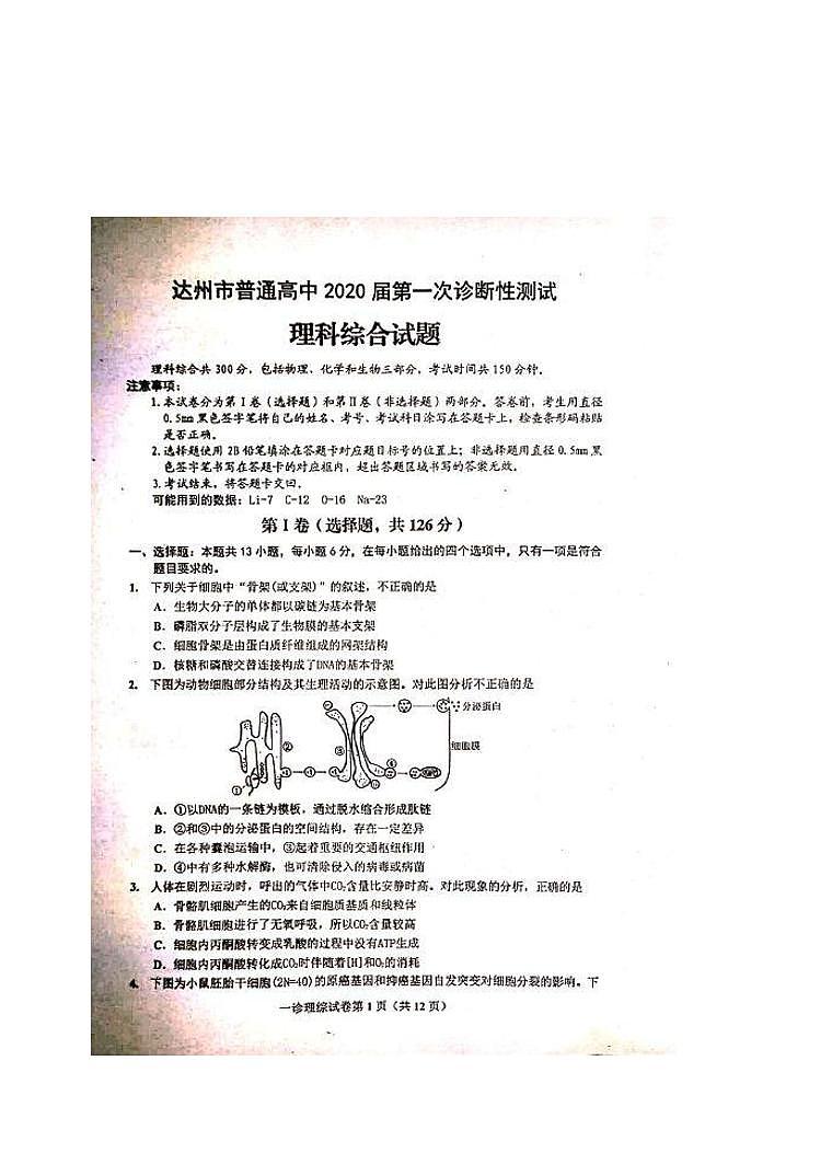 四川省达州市普通高中2020届高三第一次诊断性测试生物试题含答案01