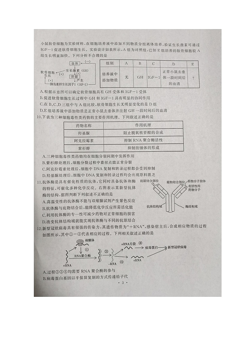 湖北省武汉市江岸区2021-2022学年高三上学期元月调研考试生物扫描版含答案03