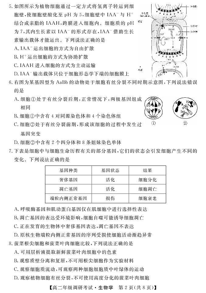 湖北省襄阳市2021-2022学年高二上学期元月期末调研考试生物PDF版含答案02