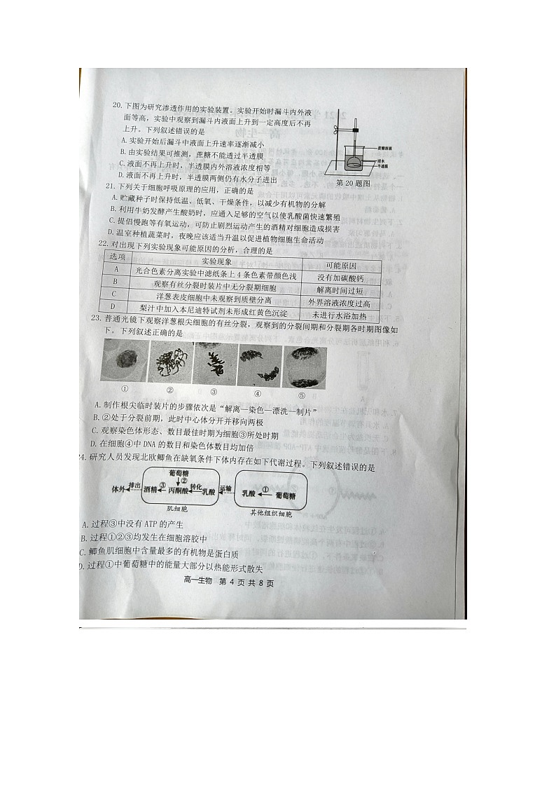 浙江省湖州市2021-2022学年高一上学期期末考试生物试题扫描版缺答案第3页
