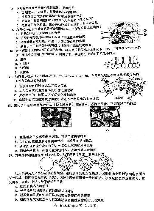 江苏省淮安市2021-2022学年高一上学期1月期末调研测试生物PDF版含答案03