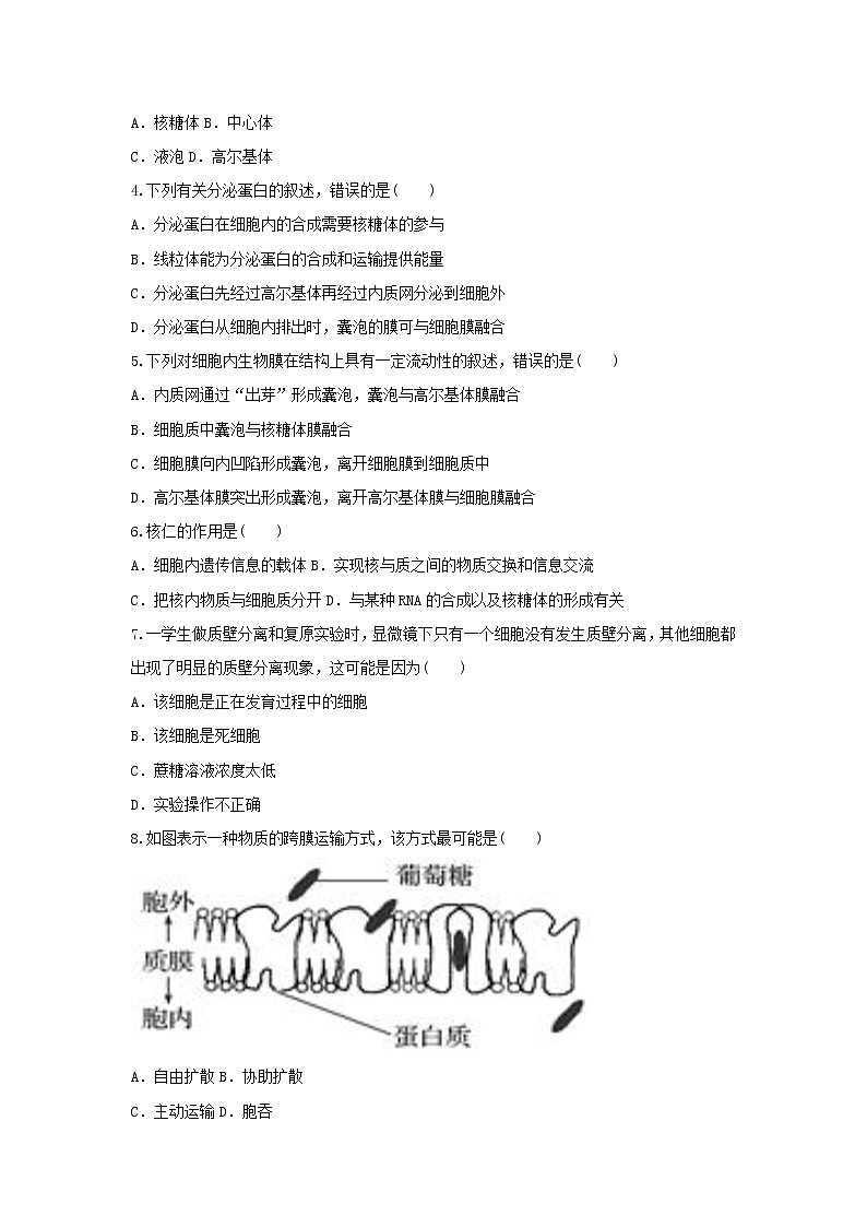 广东省湛江市2021-2022学年高一上学期期末考试生物无答案02